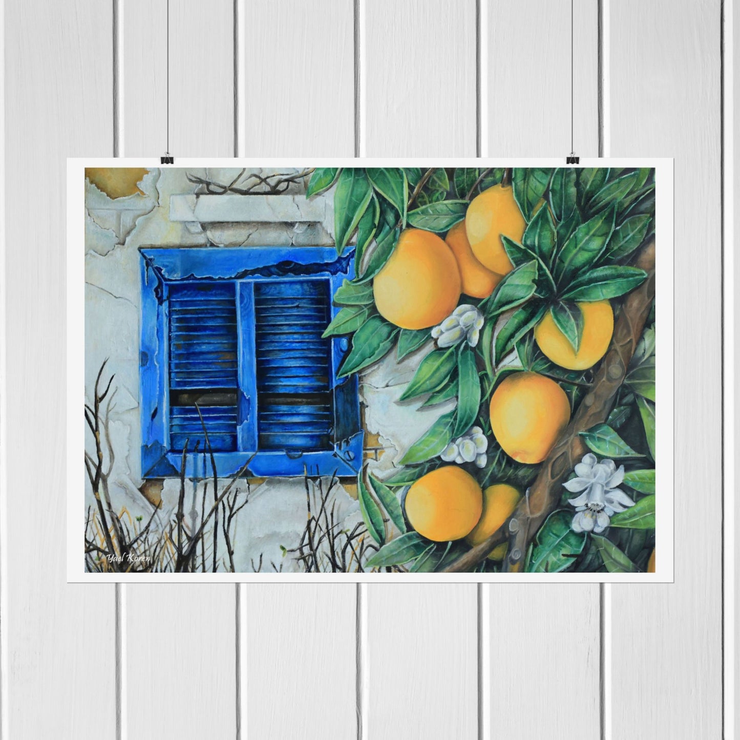 A blossoming orange branch, in the background there is an old house with peeling walls and a blue shuttered window. The poster is beautiful framed or unframed. Adds a rustic atmosphere to the house