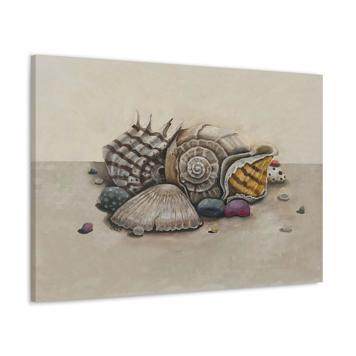 Canvas Gallery Wraps - Seashell Oil Painting Print for Beach House Decor