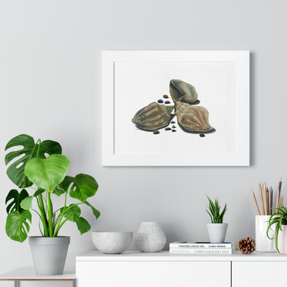 seashells