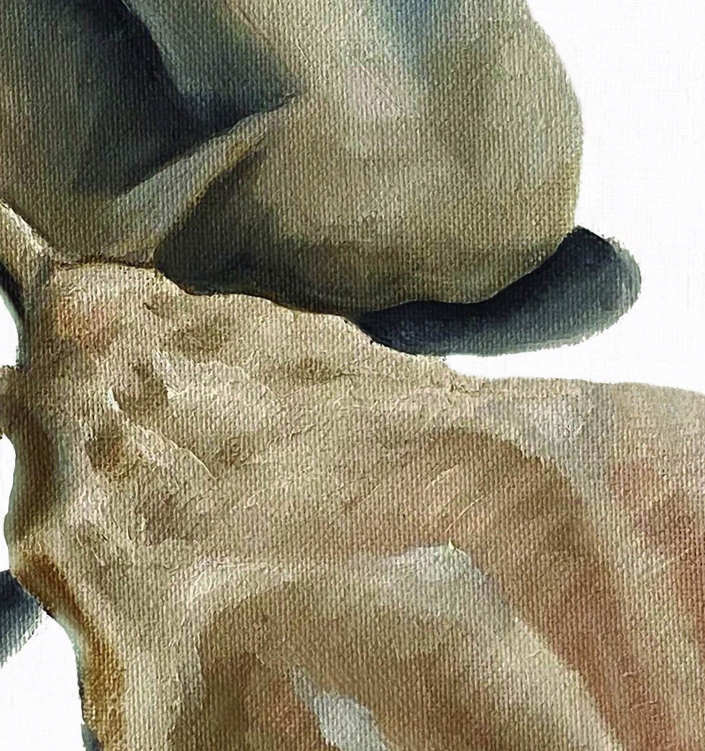 seashells