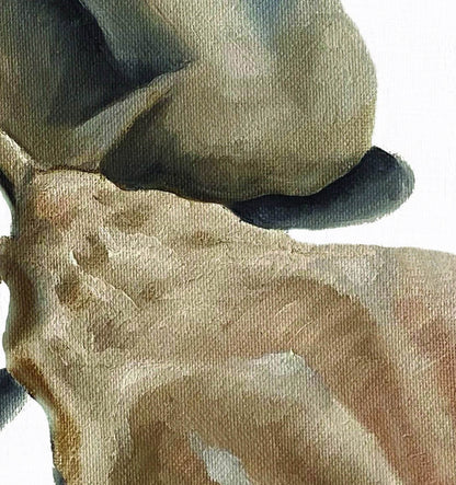 seashells